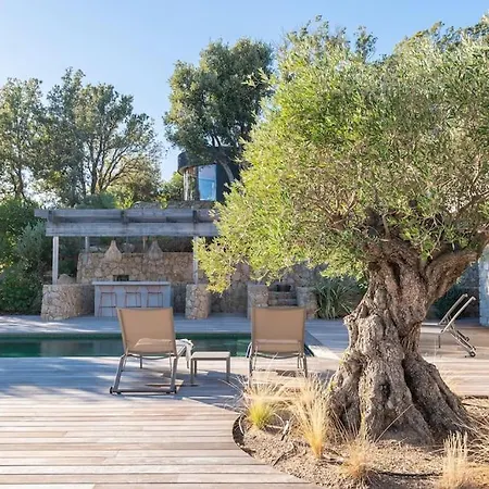 Tegghiacciu*vue Mer*pisicne Villa *